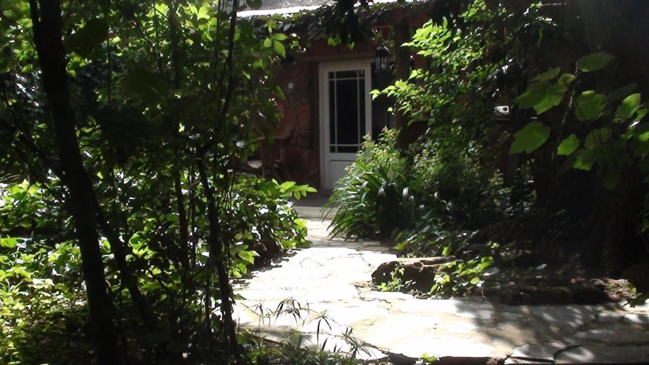 Forest Creek Lodge & Spa Dullstroom Rom bilde