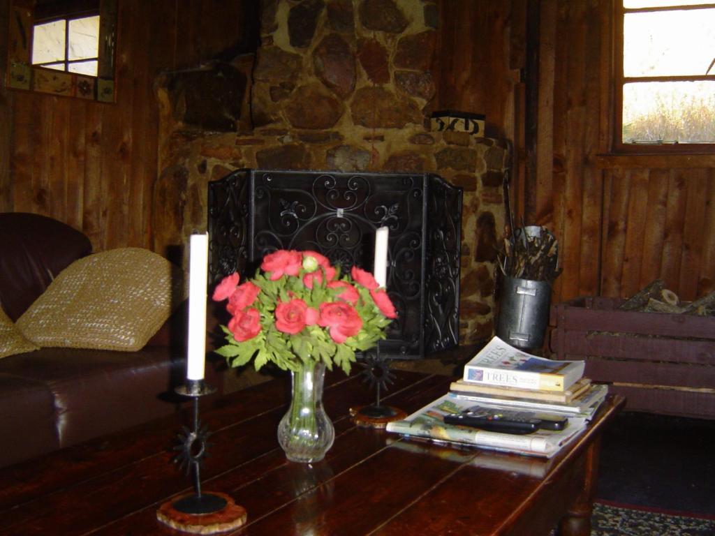 Forest Creek Lodge & Spa Dullstroom Rom bilde