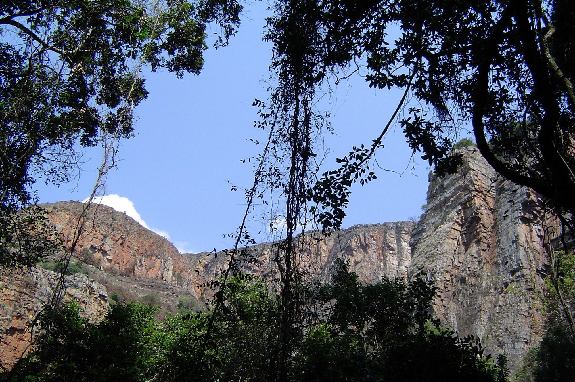 Forest Creek Lodge & Spa Dullstroom Eksteriør bilde
