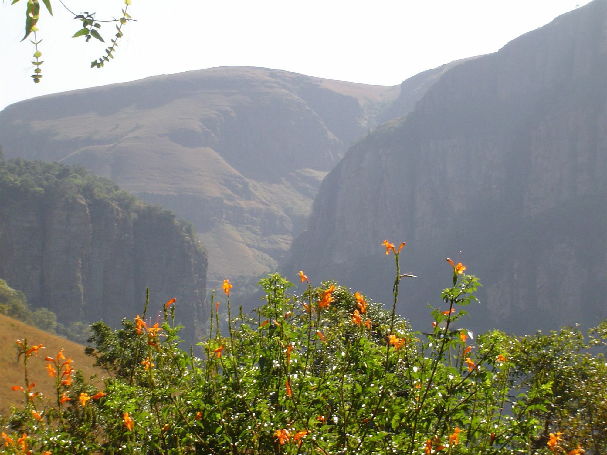 Forest Creek Lodge & Spa Dullstroom Eksteriør bilde