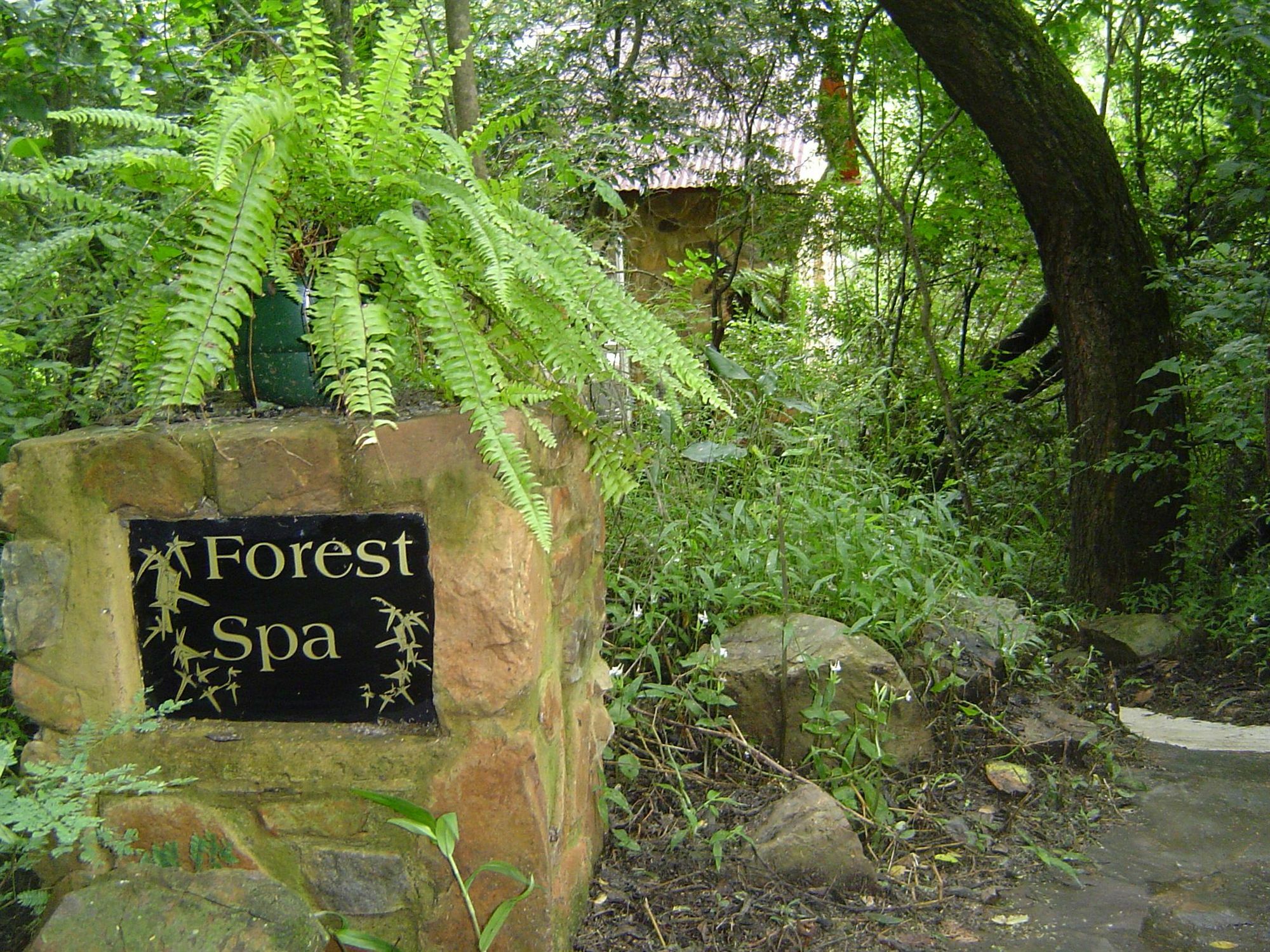 Forest Creek Lodge & Spa Dullstroom Eksteriør bilde